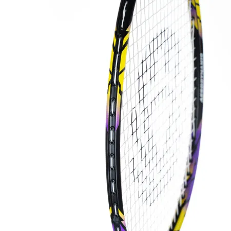 Ракетка бадм. TORRES Carbon PRO6, BD20521,для продв., стерж/обод из карбона,со струнами, фиол за 4&nbsp;477.80 ₽ купить в Саратове