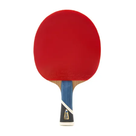 Ракетка для н/т DOUBLE FISH 5A+C, для продвин, ITTF Appr, накл. 2,1 мм, конич. ручка+ 2 мяча V40+мм за 2&nbsp;779.50 ₽ купить в Саратове