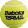 Мяч теннисный BABOLAT Team All Court,502081, уп.4 шт,одобр.ITF, сукно, нат.резина,желтый за 2&nbsp;385.10 ₽ купить в Саратове