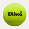 Мяч для падела Wilson Premier Padel Speed, WR8908501001, уп.3 шт, FIP Appr.,сукно, нат.резина,желтый за 1&nbsp;235.90 ₽ купить в Саратове