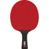 Ракетка для н/т DOUBLE FISH Black Carbon King Racket 3***, для професс.,ITTF Appr.,накл.2,1,мм за 4&nbsp;346.90 ₽ купить в Саратове